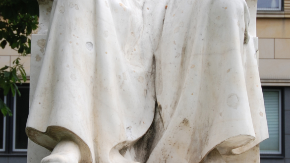 Medicinhistoria: Tuberkelbacillen och Robert Koch